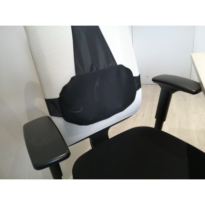 lumbar support for office chairs